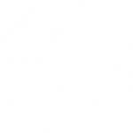 Ícone de basquetebol